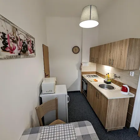 Appartement Gabi Františkovy Lázně