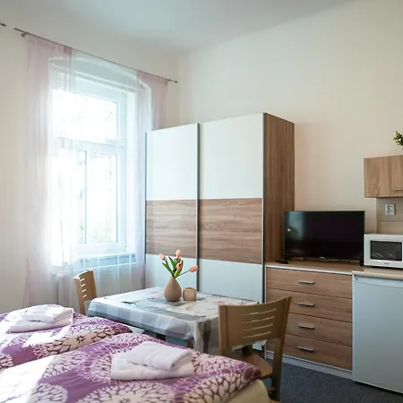 Appartement Gabi Františkovy Lázně