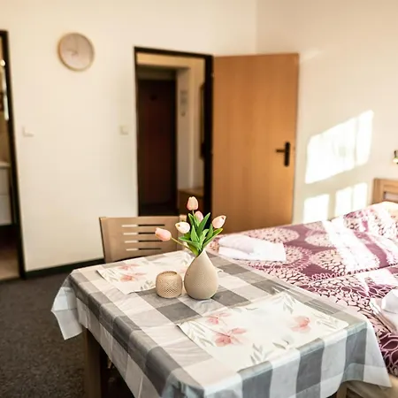 Gabi Appartement Františkovy Lázně
